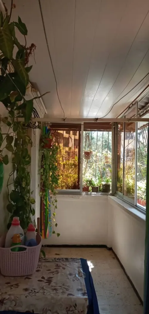 Vente Appartement F5 Blida Blida