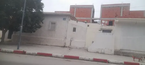 Vente Terrain Blida Blida