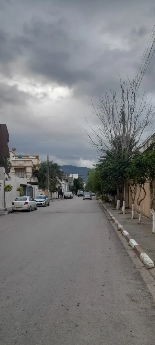 Vente Terrain Blida Blida