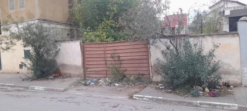 Vente Terrain Blida Blida