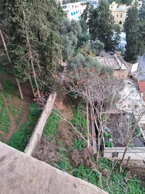 Vente Terrain Alger Alger centre