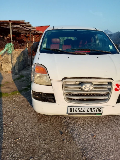 H1 H1 2005