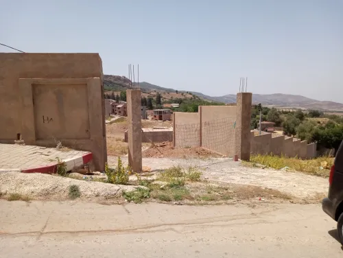 Vente Terrain Tlemcen Mansourah