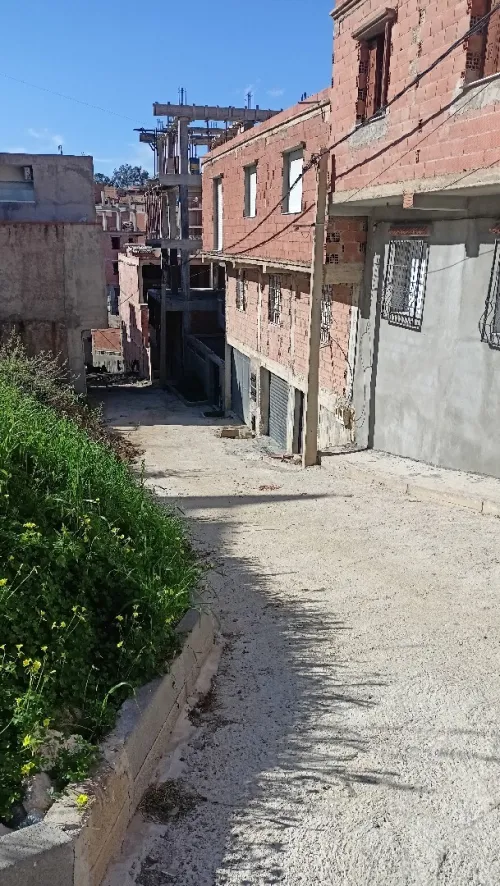 Vente Villa Alger Douera