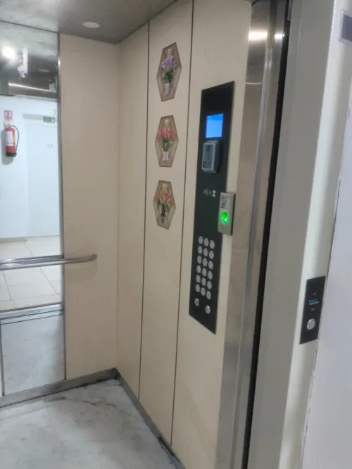 Location Appartement F3 Oran Oran