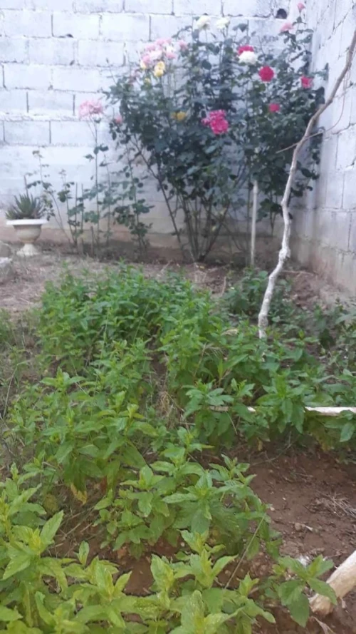 Vente Villa Constantine Ibn ziad