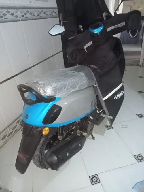 Estate VMS 2021