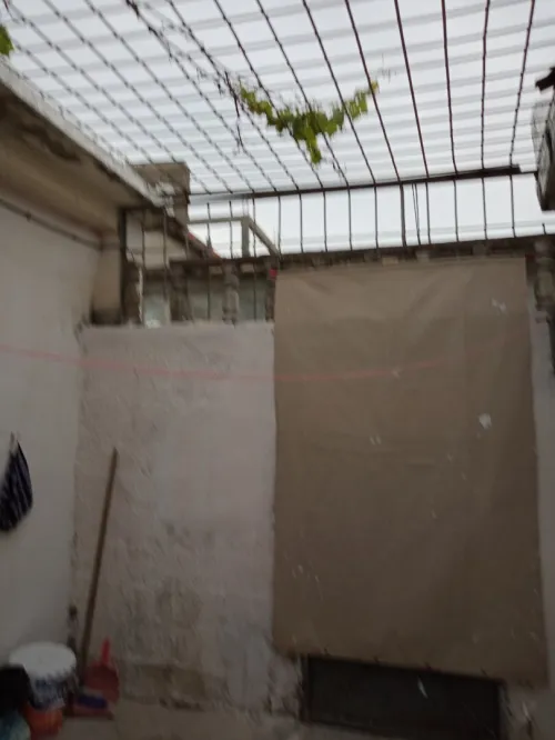 Vente bien immobilier El Tarf Raml souk souarekh
