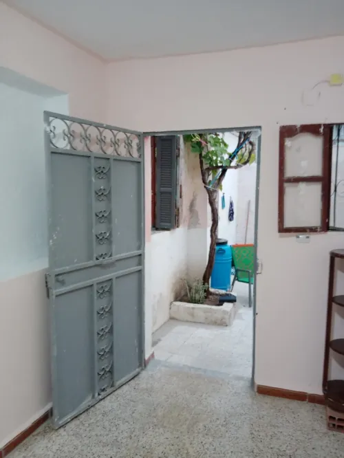 Vente bien immobilier El Tarf Raml souk souarekh