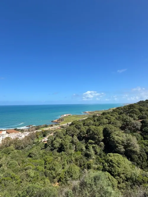 Vente Villa Tipaza Ain tagourait