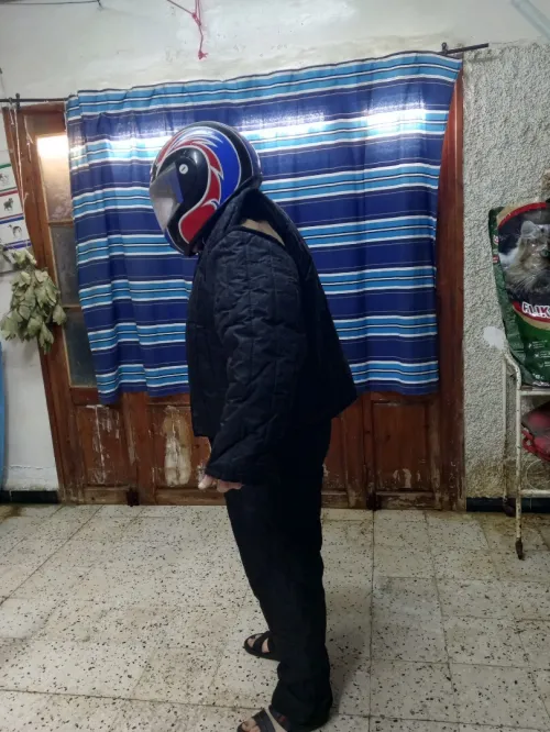 Costume d' attaque pour chien