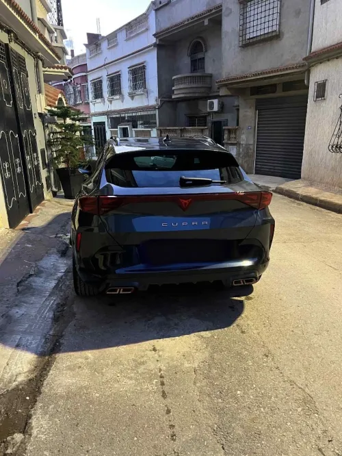 Seat Cupra  2025 Formentor