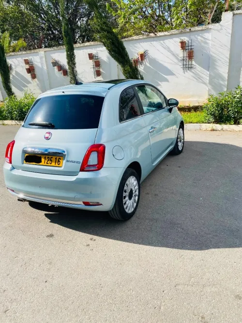 Fiat 500 2025 