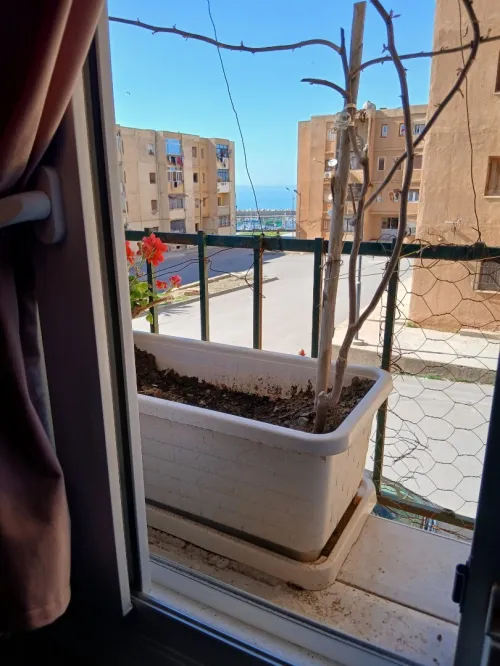 Vente Appartement F5 Tipaza Gouraya