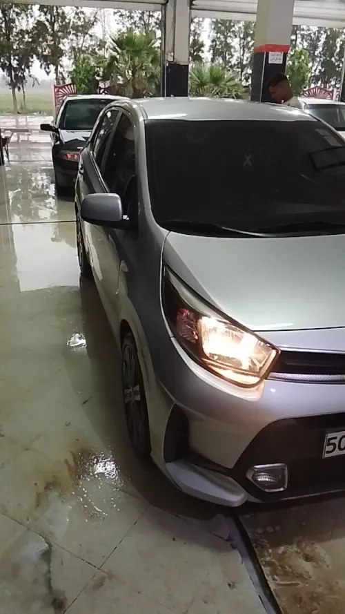 Kia Picanto 2023 Morning