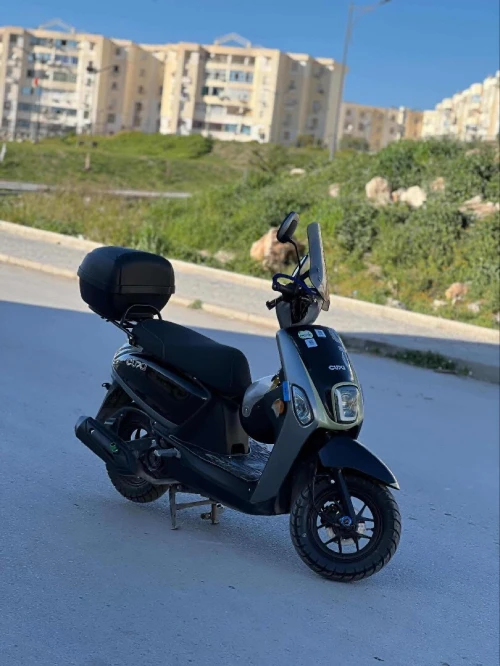 Vms Coxi 2025