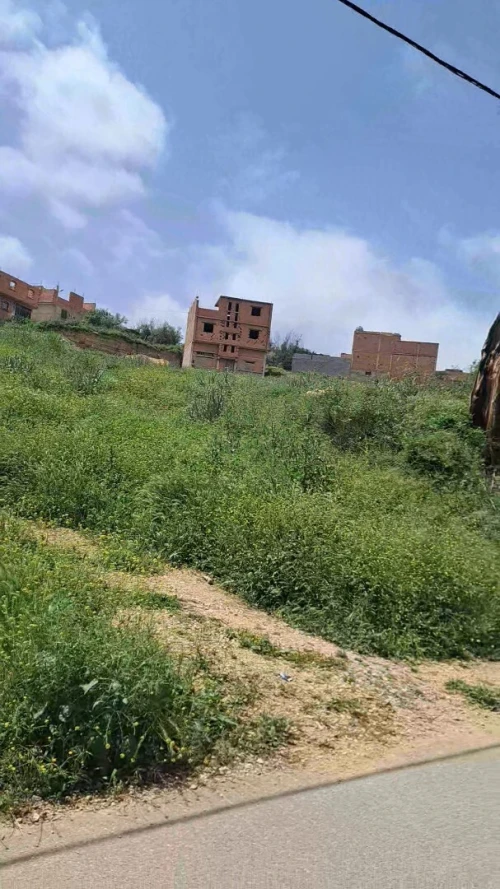 Vente Terrain Tlemcen Ouled mimoun