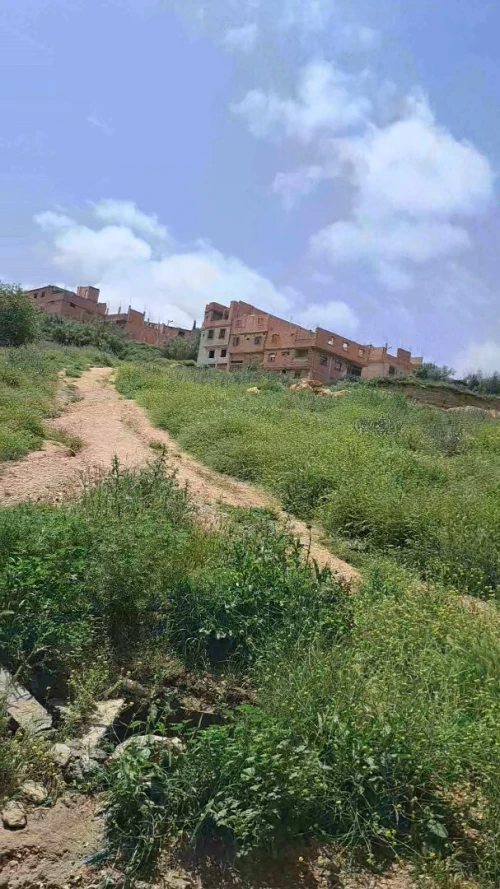 Vente Terrain Tlemcen Ouled mimoun