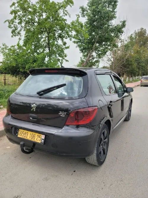Peugeot 307 2006 Oxygo