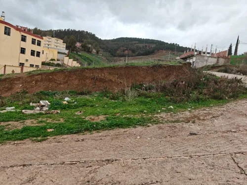Vente Terrain Constantine Constantine