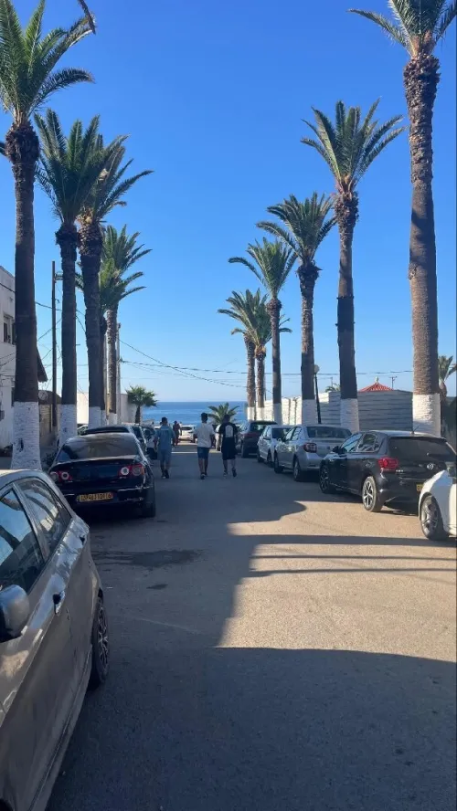 Vente Appartement F3 Alger Ain taya