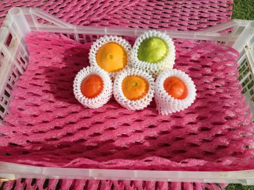 Emballage les fruits /légumes /verres EPE Protection