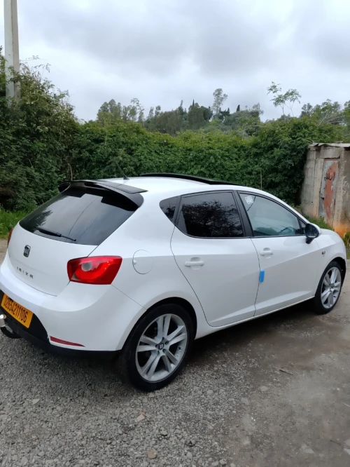 Seat Ibiza 2011 Loca