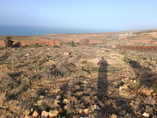 Vente Terrain Tlemcen Bab el assa