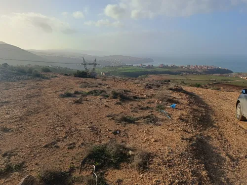 Vente Terrain Tlemcen Bab el assa