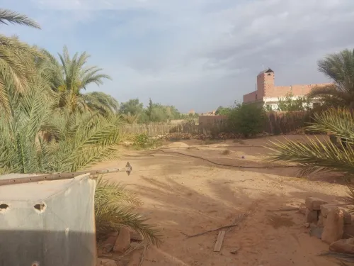 Vente Terrain Ghardaïa Dhayet bendhahoua