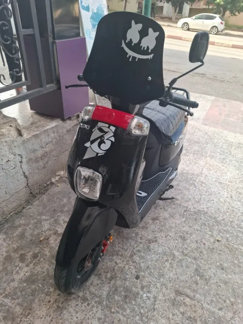 Cuxi Vcx 2019