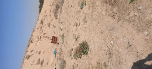 Vente Terrain Biskra Tolga