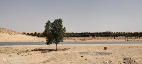 Vente Terrain Biskra Tolga