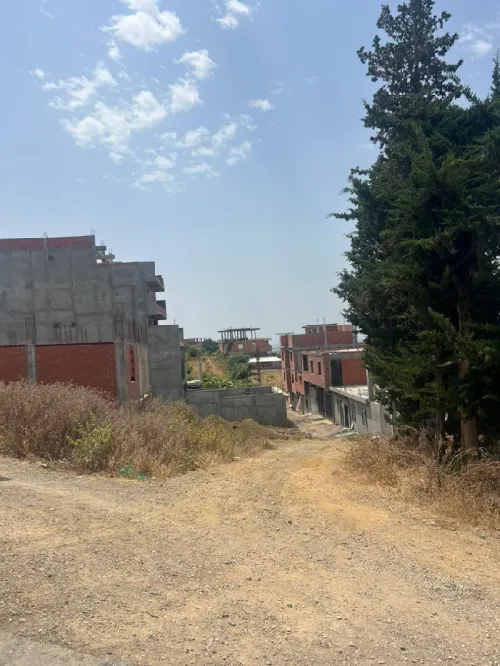 Vente Terrain Blida Guerrouaou