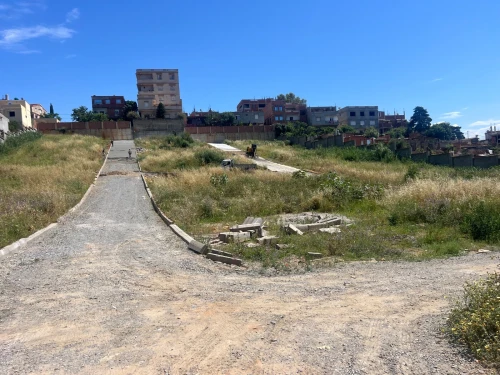 Vente Terrain Alger Said hamdine