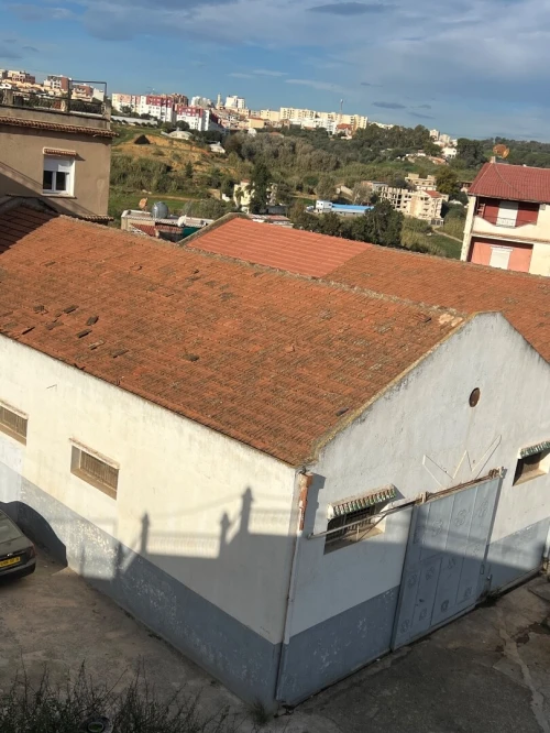 Location Immeuble Alger Birkhadem