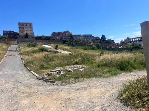 Vente Terrain Alger Said hamdine