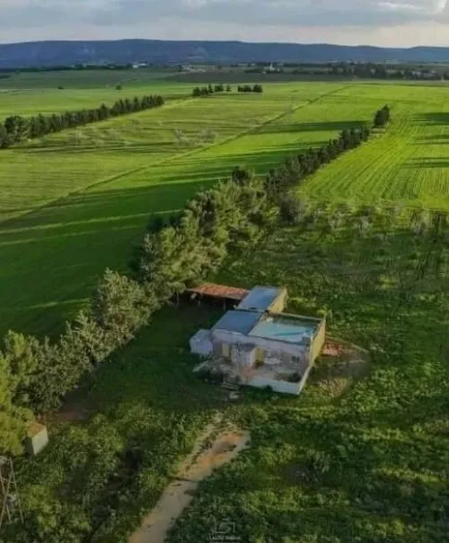 Vente Terrain Agricole Saïda Ouled khaled
