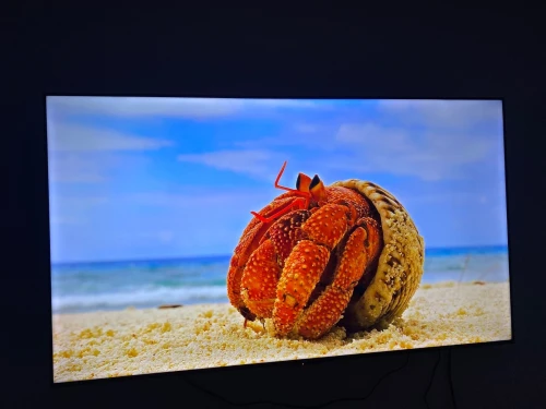 Television TCL 4K Google TV 65 Pouces