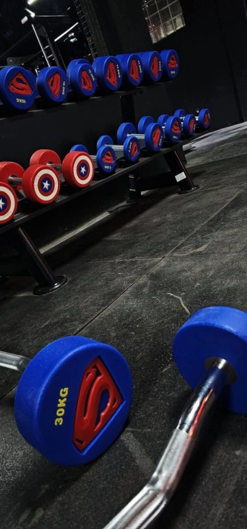 Musculation fitness sport