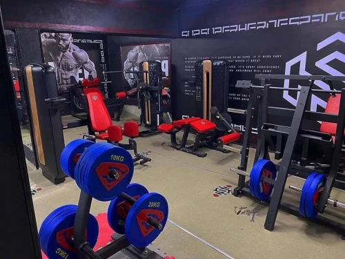 Musculation fitness sport