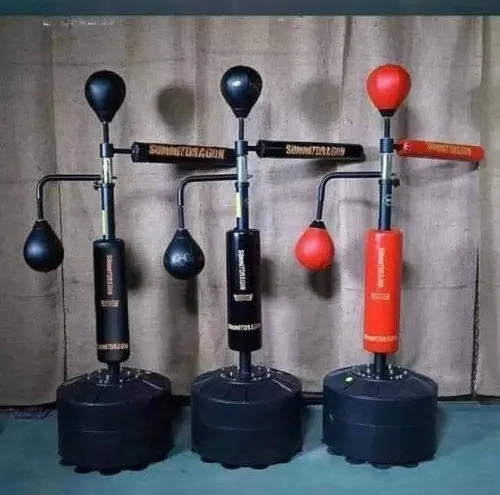 Musculation fitness sport