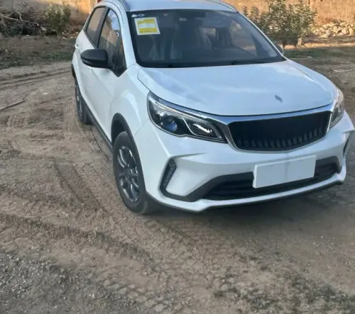 Geely Livan carte grise 2025 Manuel sans toi verssion international