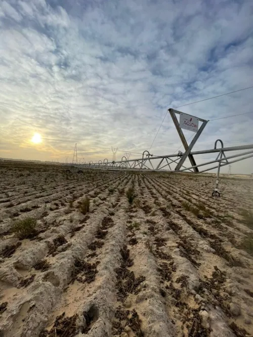 Pivot AGSOM 1HA , 2 HA , 4 HA