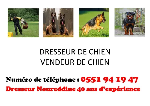 DRESSEUR DE CHIEN