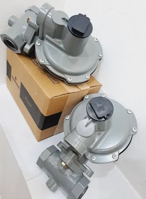 Régulateurs de Pression de Gaz Divers modèles et marques disponibles
