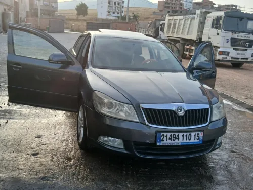 Skoda Octavia 2010 Octavia