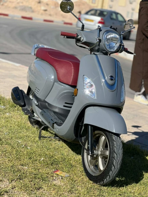 Sym Fiddle 3 2025