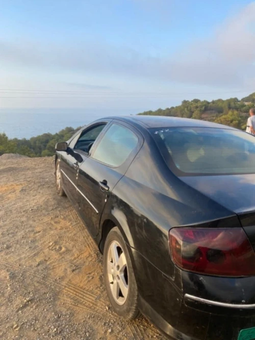 Peugeot 407 2007 407