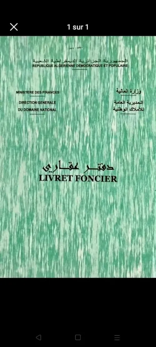 Vente Terrain Agricole Aïn Defla Oued djemaa